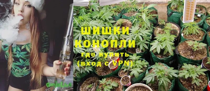 Конопля LSD WEED  Прохладный 